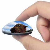 Potomac Glenstone Museum Maryland USA 3D Fridge Magnet Crystal Glass