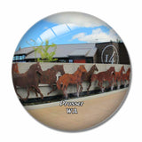 Prosser Winery Washington USA 3D Fridge Magnet Crystal Glass