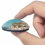 Italy Ricadi Spiaggia di Riaci 3D Fridge Magnet Crystal Glass
