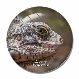 Venezuela Juan Griego 3D Fridge Magnet Crystal Glass