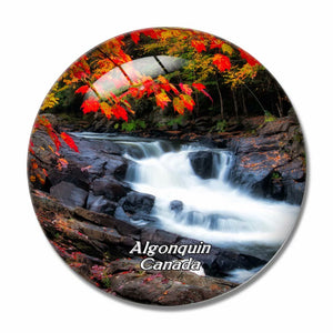 Canada Algonquin 3D Fridge Magnet Crystal Glass