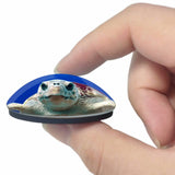 USA America Boca Raton Turtle Gumbo Limbo Nature Center 3D Fridge Magnet Crystal Glass