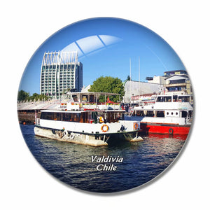 Valdivia Chile 3D Fridge Magnet Crystal Glass