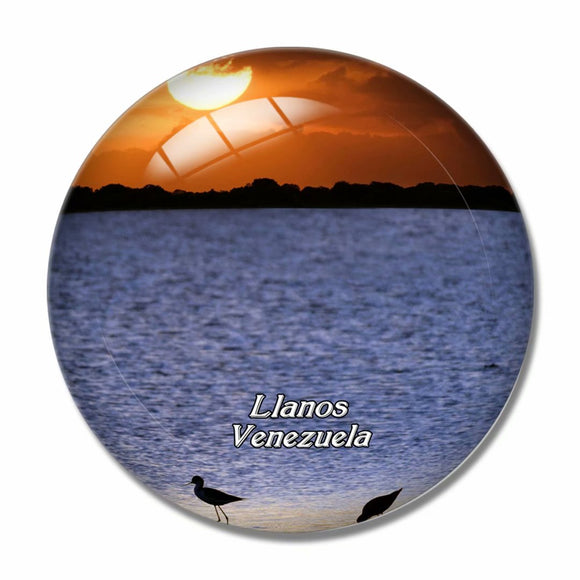 Venezuela Llanos 3D Fridge Magnet Crystal Glass