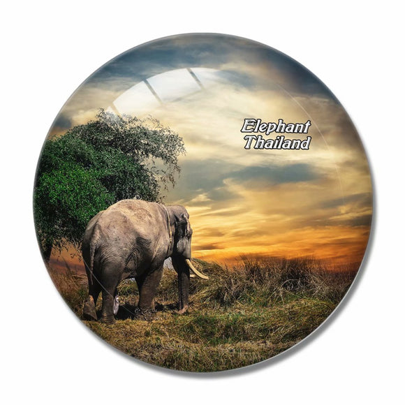 Thailand Elephant 3D Fridge Magnet Crystal Glass