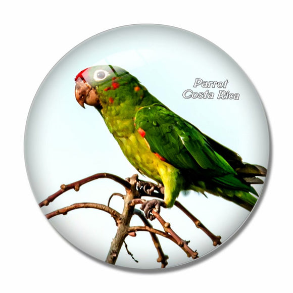 Costa Rica Parrot Bird 3D Fridge Magnet Crystal Glass