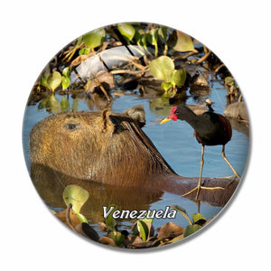 Venezuela Caracas 3D Fridge Magnet Crystal Glass