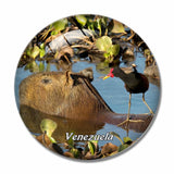 Venezuela Caracas 3D Fridge Magnet Crystal Glass