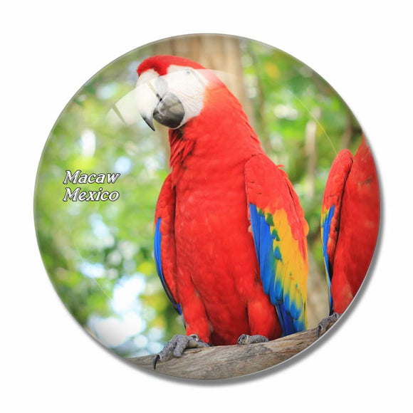 Mexico Scarlet Macaw 3D Fridge Magnet Crystal Glass