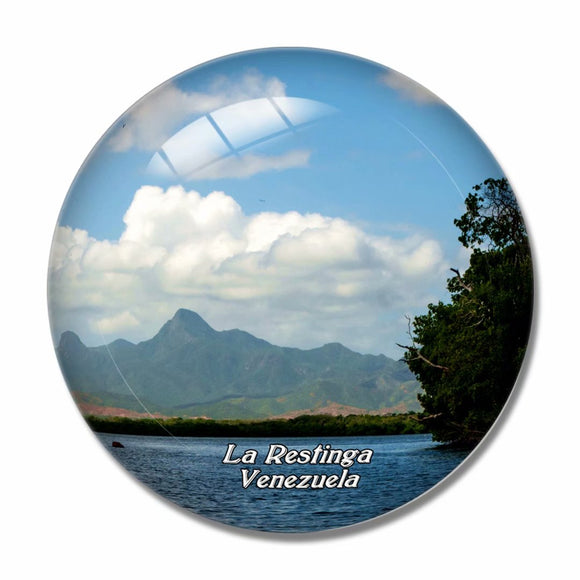 Venezuela Llanos General Of Cayenne 3D Fridge Magnet Crystal Glass