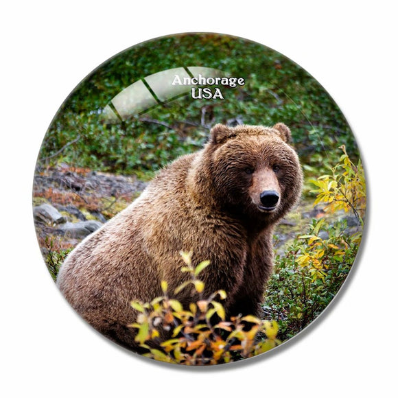 USA America Anchorage Alaska Wildlife 3D Fridge Magnet Crystal Glass