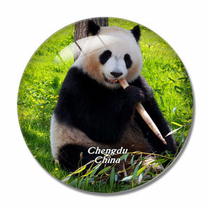 China Panda Chengdu 3D Fridge Magnet Crystal Glass