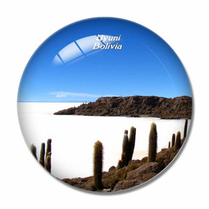 Bolivia Uyuni Cactus Lake 3D Fridge Magnet Crystal Glass