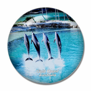 Australia Sea World Gold Coast 3D Fridge Magnet Crystal Glass