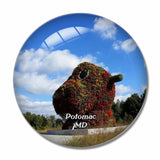 Potomac Glenstone Museum Maryland USA 3D Fridge Magnet Crystal Glass