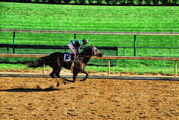 Kentucky Louisville Horse Racing USA Jigsaw Puzzle Wooden 1000 Piece