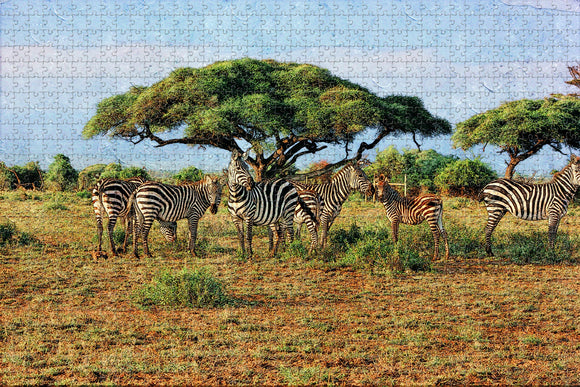 Kenya Masai Mara Zebras Safari Jigsaw Puzzle Wooden 1000 Piece