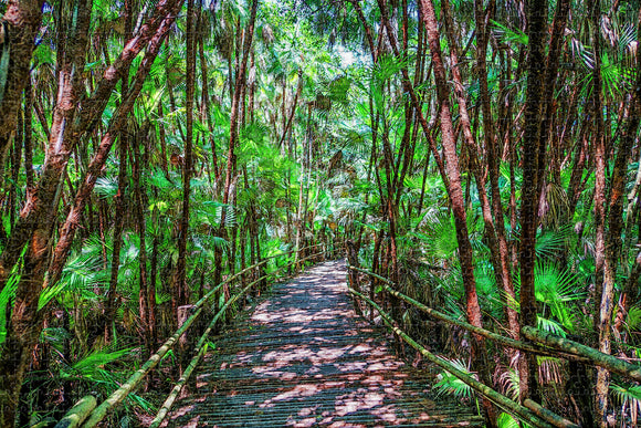 Belize Bacab Jungle Park Jigsaw Puzzle Wooden 1000 Piece