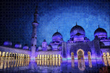 UAE Abu Dhabi Mosque Jigsaw Puzzle Wooden 1000 Piece