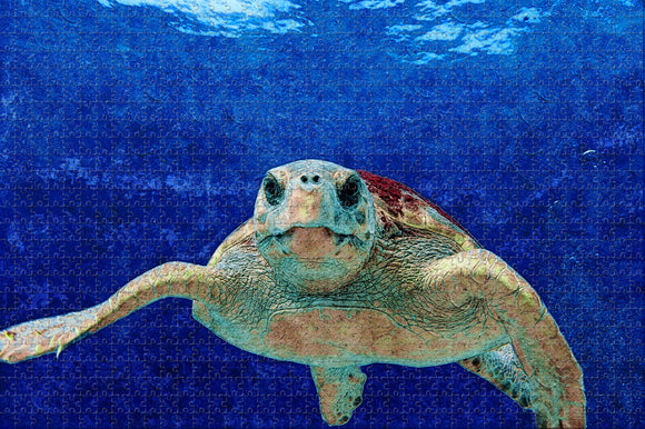 Boca Raton Turtle Gumbo Limbo Nature Center USA Jigsaw Puzzle Wooden 1000 Piece