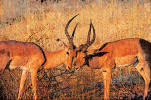 Kenya Antelope Jigsaw Puzzle Wooden 1000 Piece