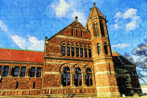 Woburn Massachusetts Library USA Jigsaw Puzzle Wooden 1000 Piece