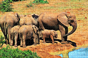 South Africa Elephant Jigsaw Puzzle Wooden 1000 Piece