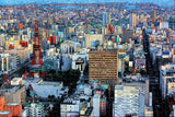 Japan Odori Park Sapporo Jigsaw Puzzle Wooden 1000 Piece