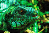 Brazil Iguana Lizard Jigsaw Puzzle Wooden 1000 Piece