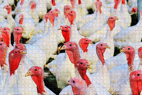 Turkey Birds Jigsaw Puzzle Wooden 1000 Piece