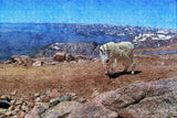 Denver Mount Evans USA Jigsaw Puzzle Wooden 1000 Piece