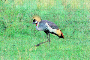 Uganda Crested Crane Bird Jigsaw Puzzle Wooden 1000 Piece