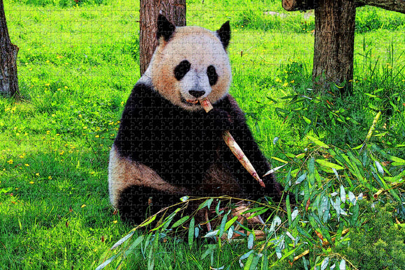 China Panda Chengdu Jigsaw Puzzle Wooden 1000 Piece