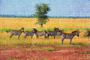 Zebra Arusha Tanzania Jigsaw Puzzle Wooden 1000 Piece