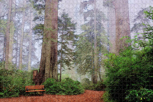 USA America Visalia Sequoia National Park Jigsaw Puzzle Wooden 1000 Piece