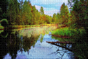 Jonesboro Forest Park Arkansas USA Jigsaw Puzzle Wooden 1000 Piece