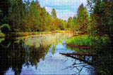 Jonesboro Forest Park Arkansas USA Jigsaw Puzzle Wooden 1000 Piece