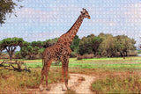 USA America Palm Desert Giraffe Zoo and Gardens Jigsaw Puzzle Wooden 1000 Piece