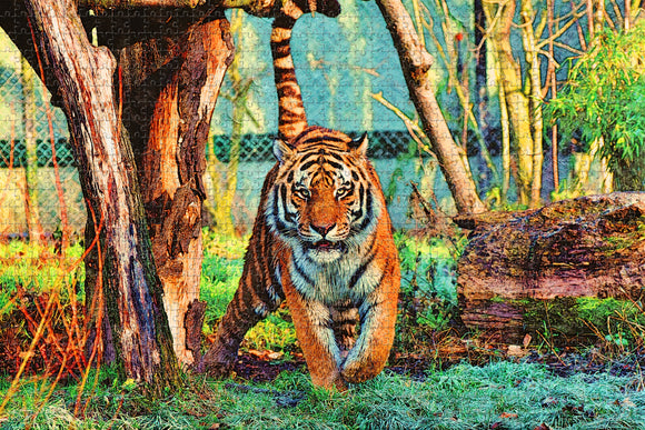 Eureka Springs Zoo Arkansas USA Jigsaw Puzzle Wooden 1000 Piece