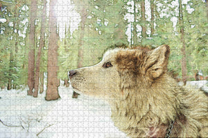 USA America Malamute Alaska Jigsaw Puzzle Wooden 1000 Piece