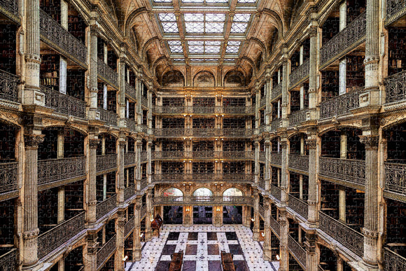 USA America George Peabody Library Baltimore Jigsaw Puzzle Wooden 1000 Piece