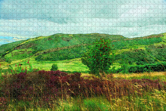 UK England Edinburgh Holyrood Park Jigsaw Puzzle Wooden 1000 Piece