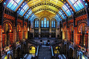 UK England Natural History Museum London Jigsaw Puzzle Wooden 1000 Piece