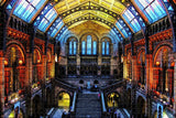 UK England Natural History Museum London Jigsaw Puzzle Wooden 1000 Piece