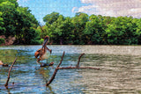 Venezuela Mangroves Pelican Jigsaw Puzzle Wooden 1000 Piece