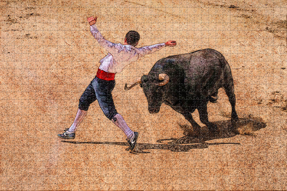 Spain Bullfighting Museum Cordoba Jigsaw Puzzle Wooden 1000 Piece