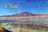 Flamingos Volcano Salt Lake Atacama Desert Chile Jigsaw Puzzle Wooden 1000 Piece