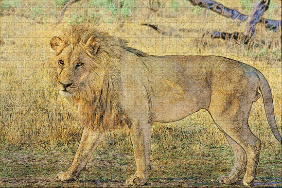 South Africa Lion Jigsaw Puzzle Wooden 1000 Piece