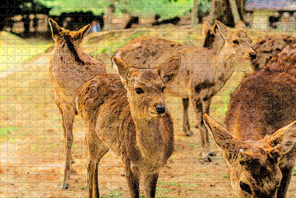 Japan Nara Park Jigsaw Puzzle Wooden 1000 Piece