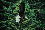 Bald Eagle Skagway Alaska USA Jigsaw Puzzle Wooden 1000 Piece